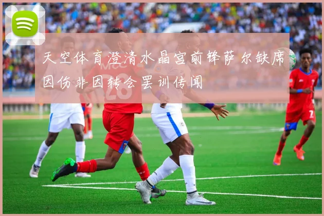 天空体育澄清水晶宫前锋萨尔缺席因伤非因转会罢训传闻