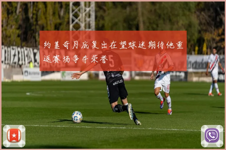 约基奇月底复出在望球迷期待他重返赛场争夺荣誉